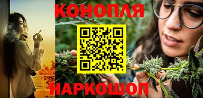 крисы Малгобек
