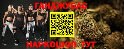 крисы Малгобек